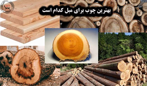 بهترین چوب برای مبل کدام است؟ معرفی انواع چوب مبل و ویژگی‌های هرکدام}